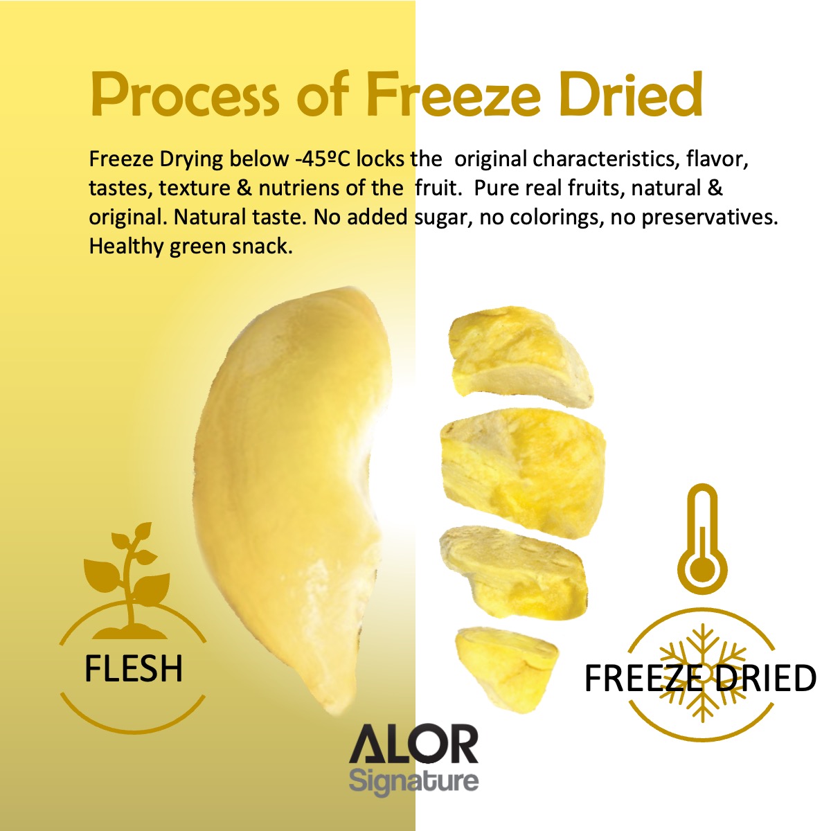 ALOR_600071_freeze-dried-fruit-durian_03