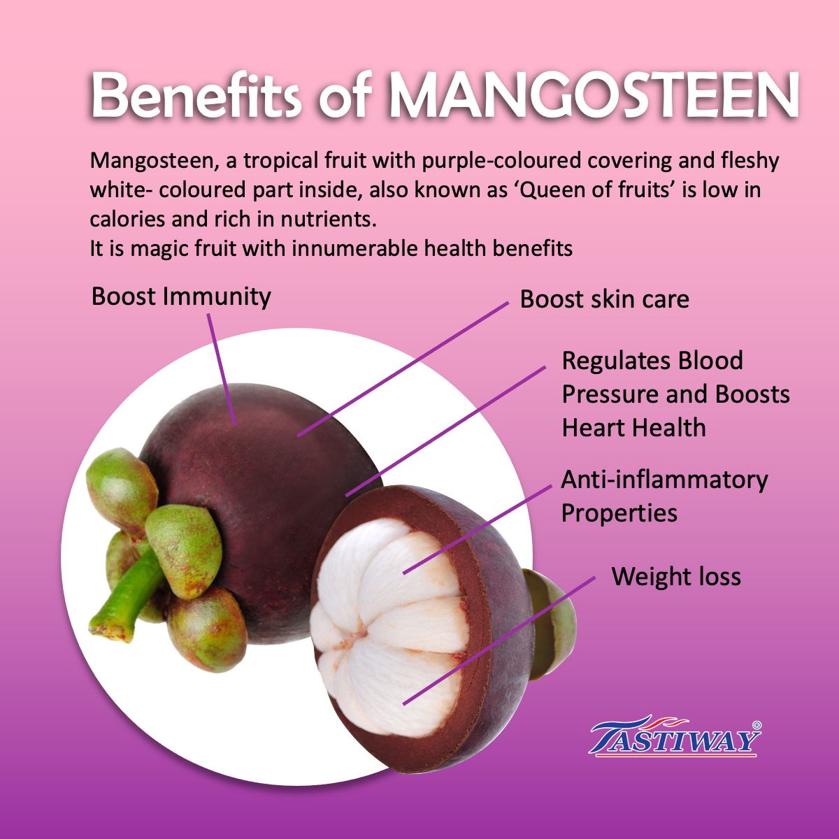 ALOR_600134_freeze-dried-fruit-mangosteen_02