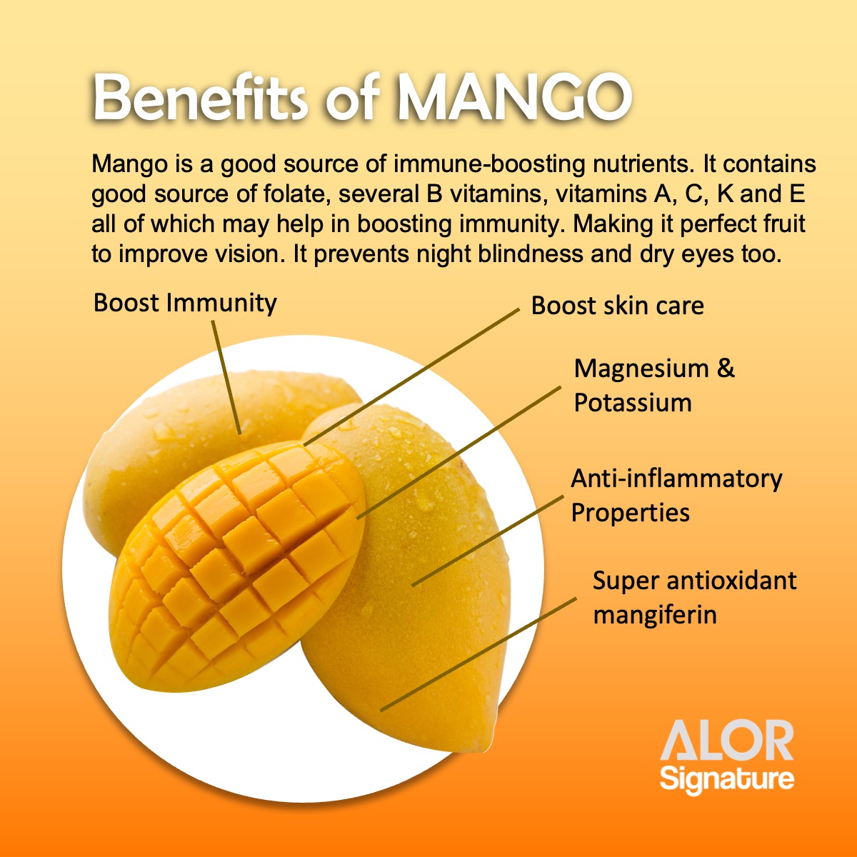 ALOR_600322_freeze-dried-fruit-mango_02