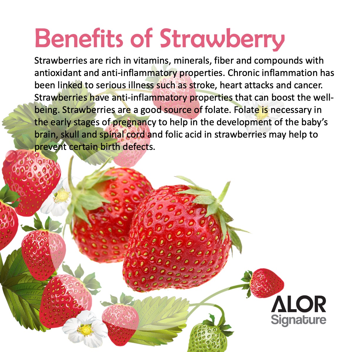 ALOR_600358_yogurt-bites-strawberry_02