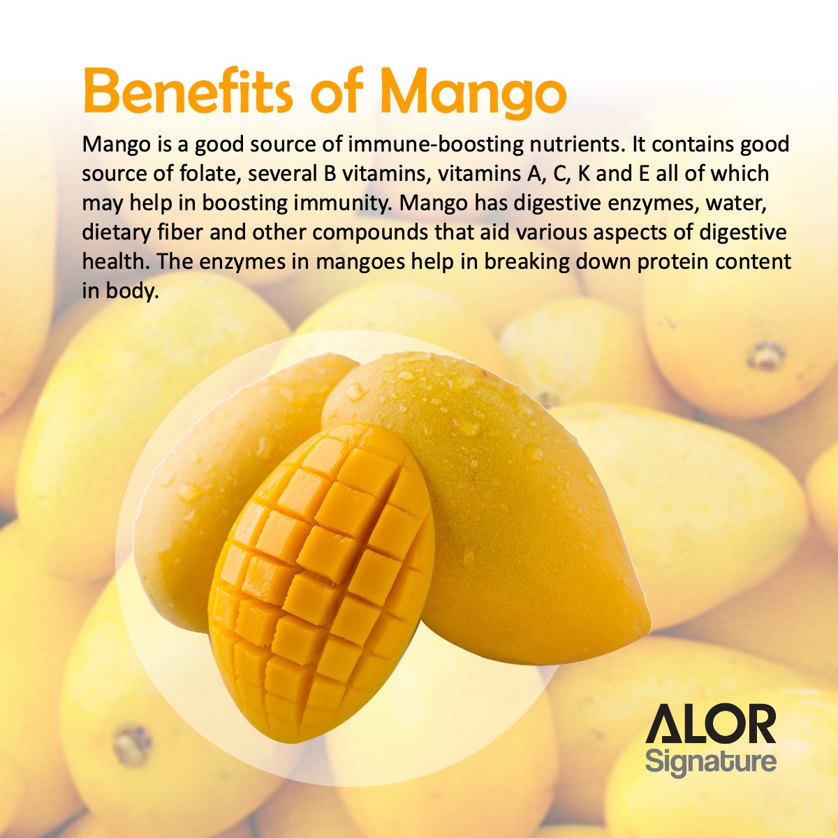 ALOR_600369_yogurt-bites-mango_02