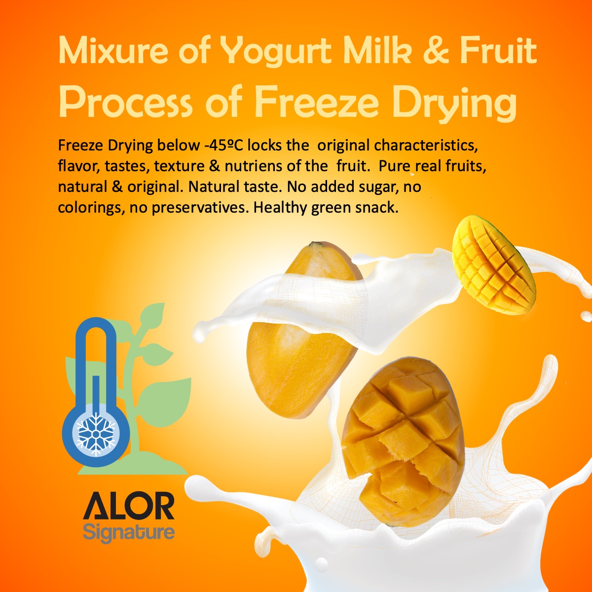ALOR_600369_yogurt-bites-mango_03