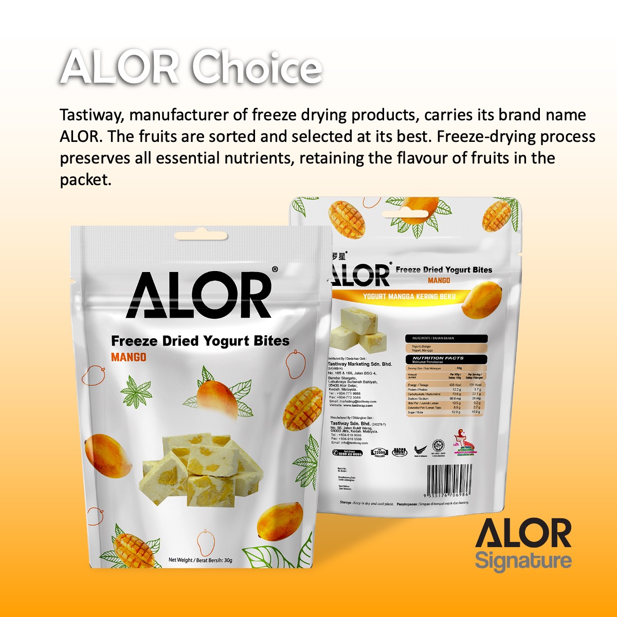ALOR_600369_yogurt-bites-mango_05